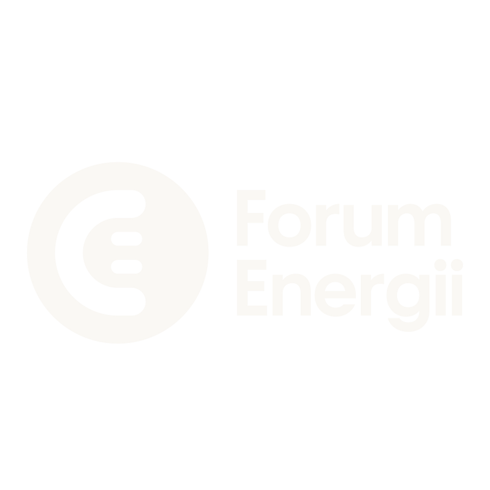 Forum Energii's logo for use in English_white