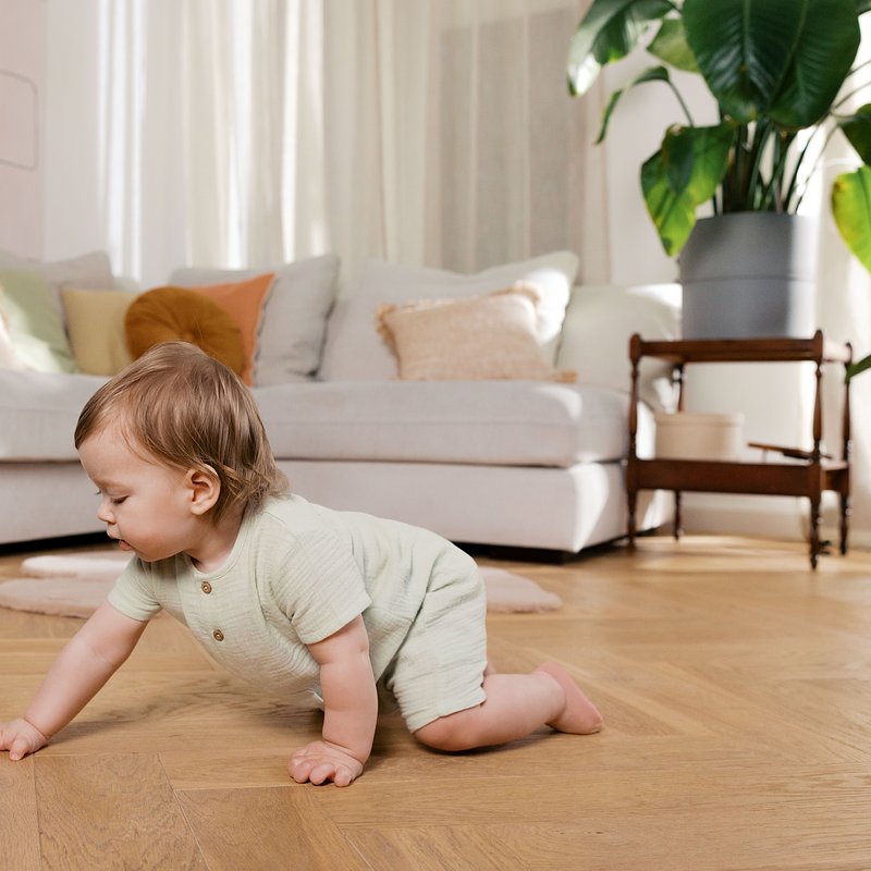 SMYK_SS26_WLO_prawa do 02.29_16_2014.jpg