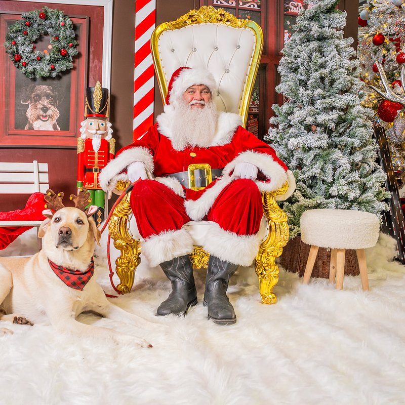 MBWIL_SANTA PAWS 25_AOAKS-233 (1).jpg