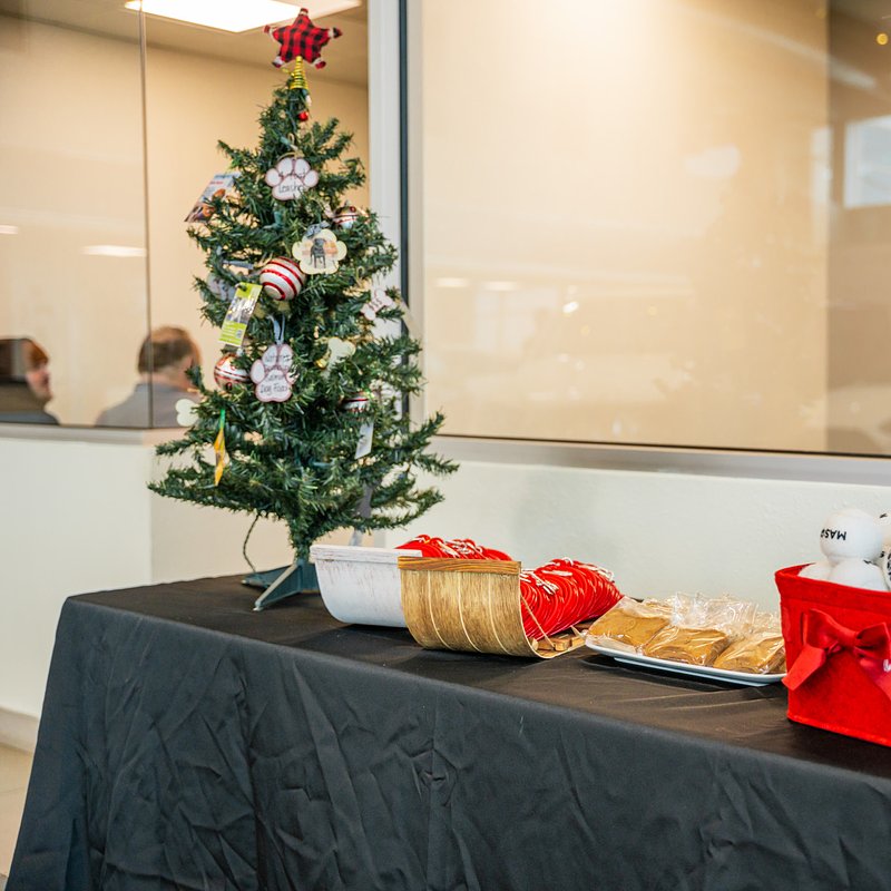 MBWIL_SANTA PAWS 25_AOAKS-008.jpg