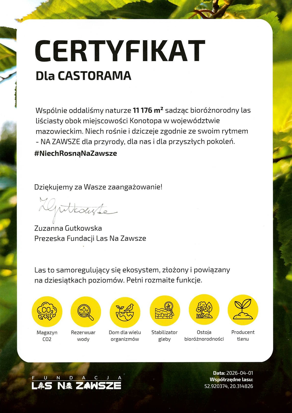 Las na zawsze certyfikat.png