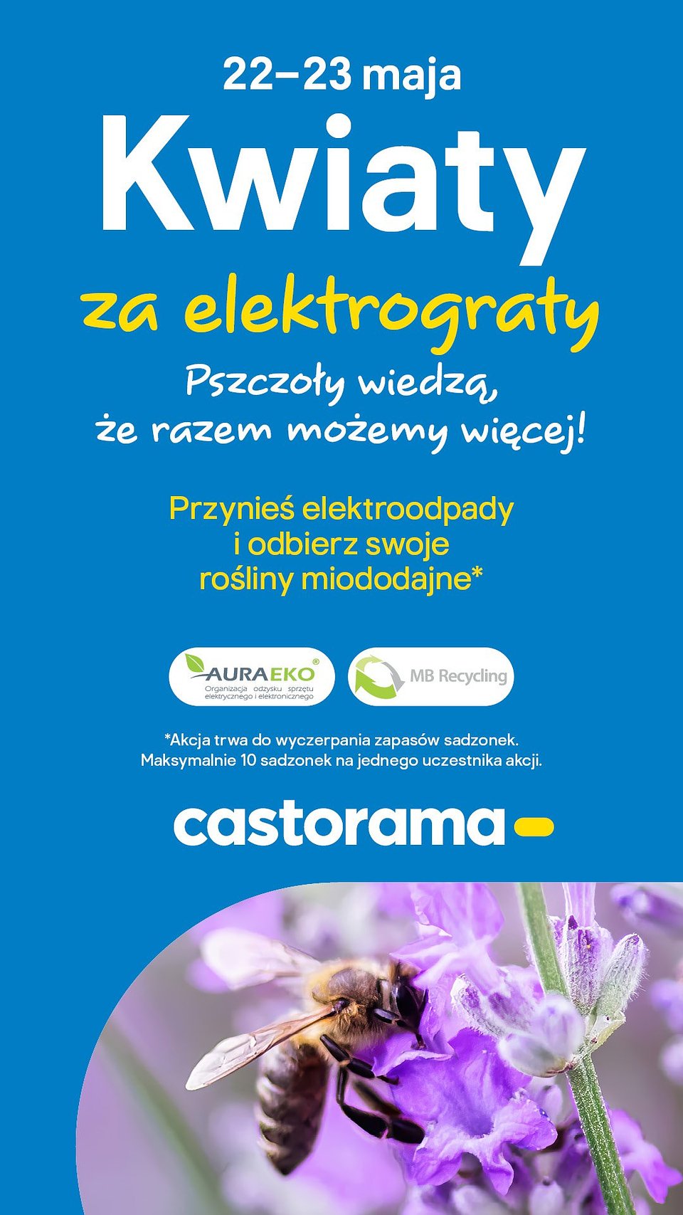 POS_AKCJASPEC_3104-1080 x 1920pxl-Kwiaty-za-elektrograty_PL_2025.jpg
