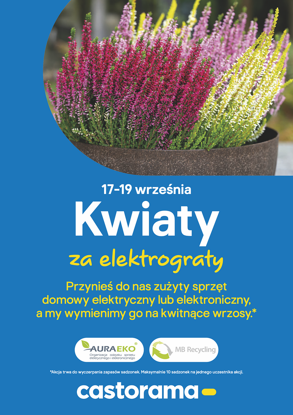 POS_AKCJASPEC_PL11-P00003745-Kwiaty za elektrograty-plakat-A1-594x841-PL_2026___lowres___.png
