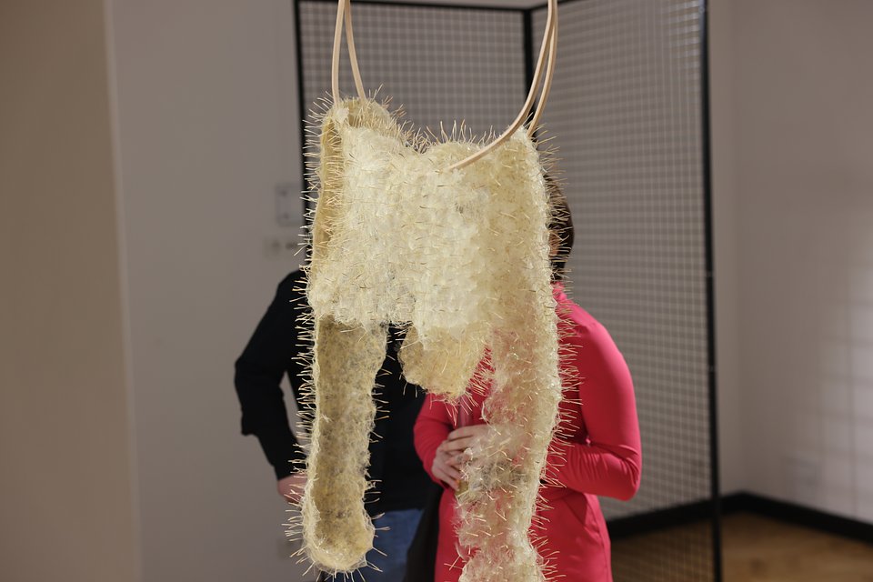 Fot. Mateusz Bugalski