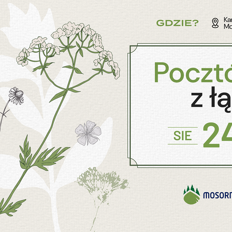 24-08 pocztowki.png