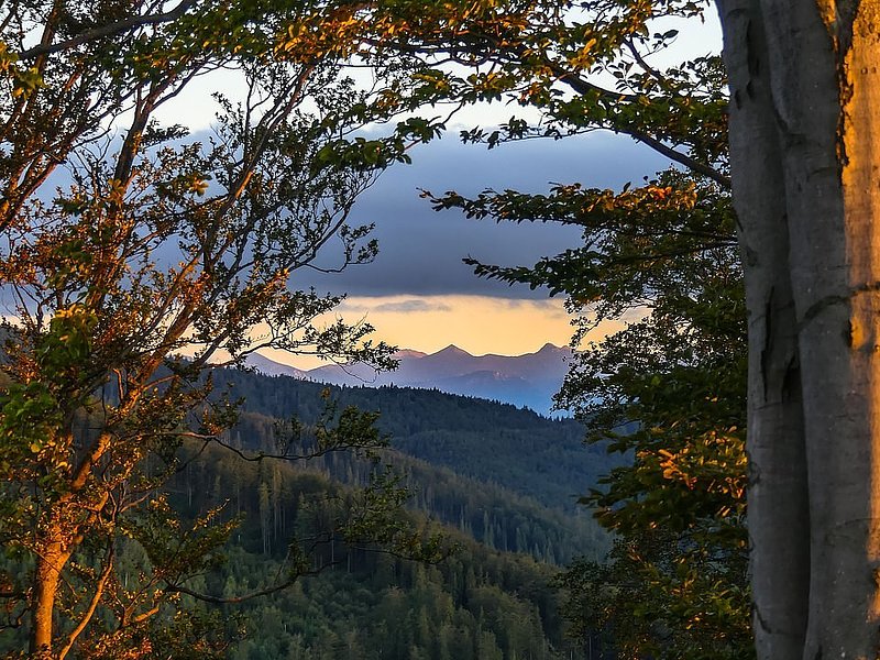 image_processing20230925-2039007-1wma1zh.jpg