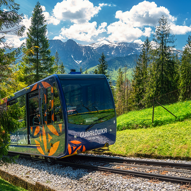 Zdjęcie Główne ulotka .png