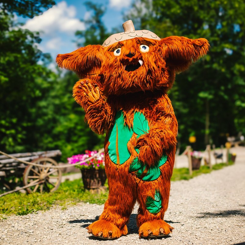 zdjęcie bez tytułu-6866.jpg