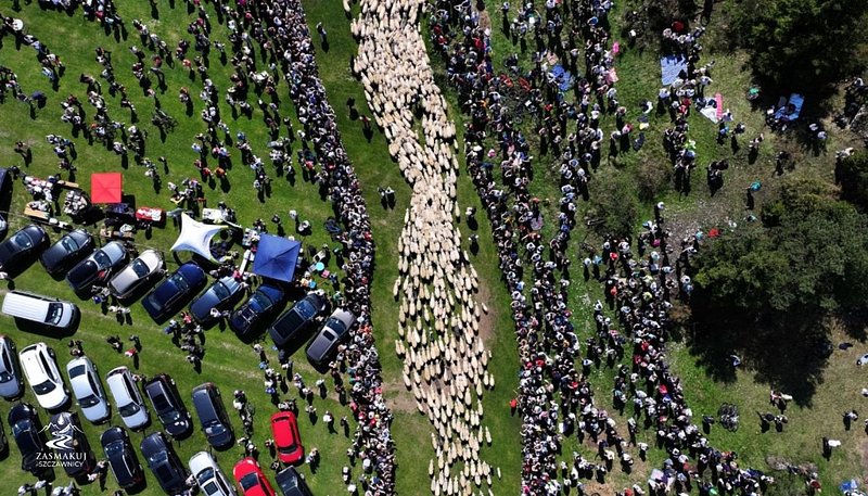 Redyk Wiosenny - Szczawnica 2.jpg