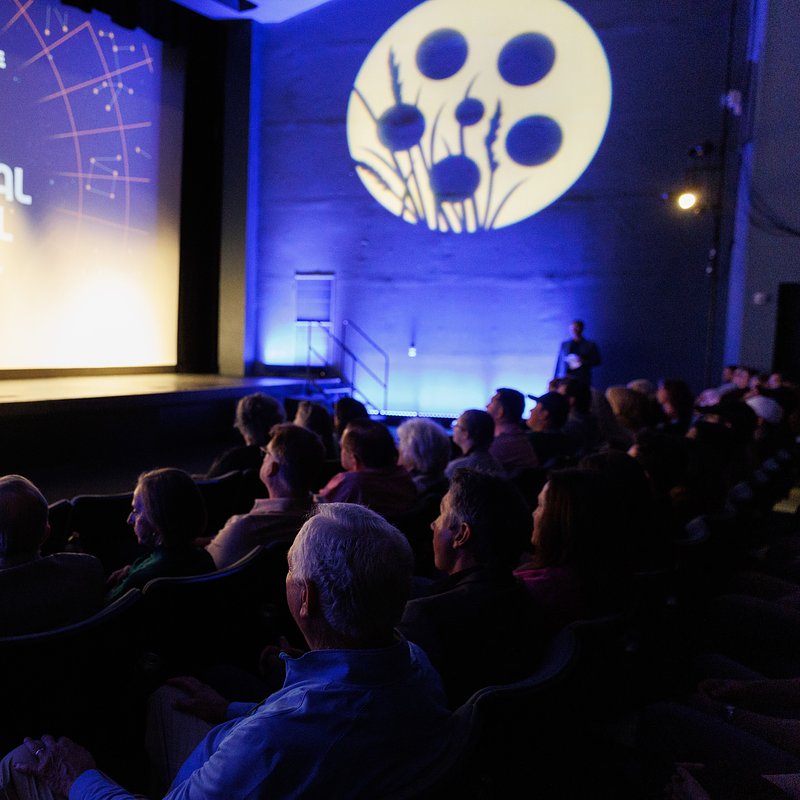 HeartlandInternationalFilmFestival_WhitneyWalker1.jpg