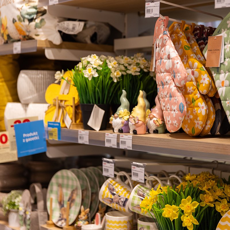 0F0A1123 kopia 2.jpg