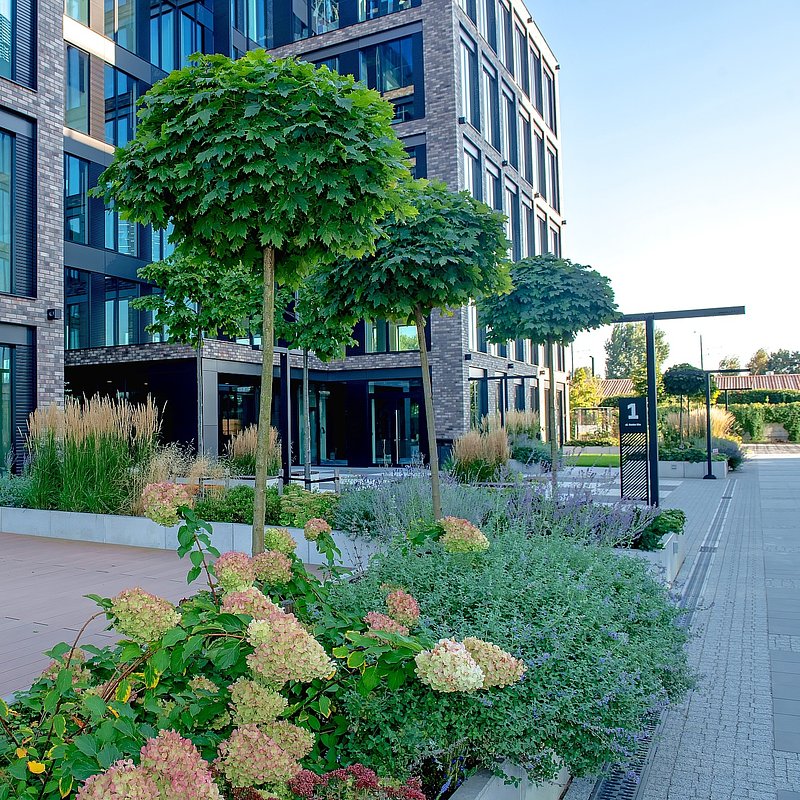 The Park Kraków B2_3.jpg