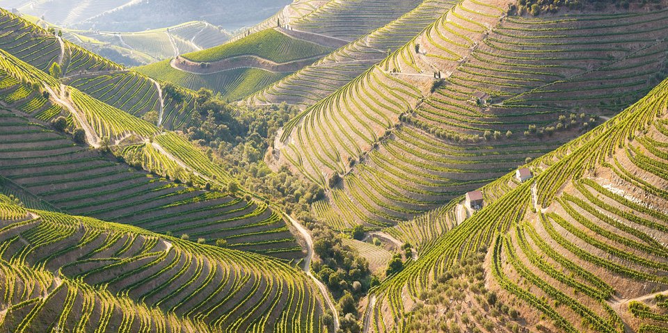 Dolina Douro, Portugalia 