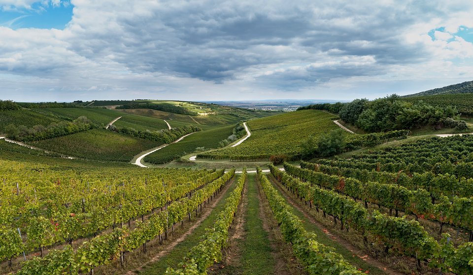 Villany, Węgry
