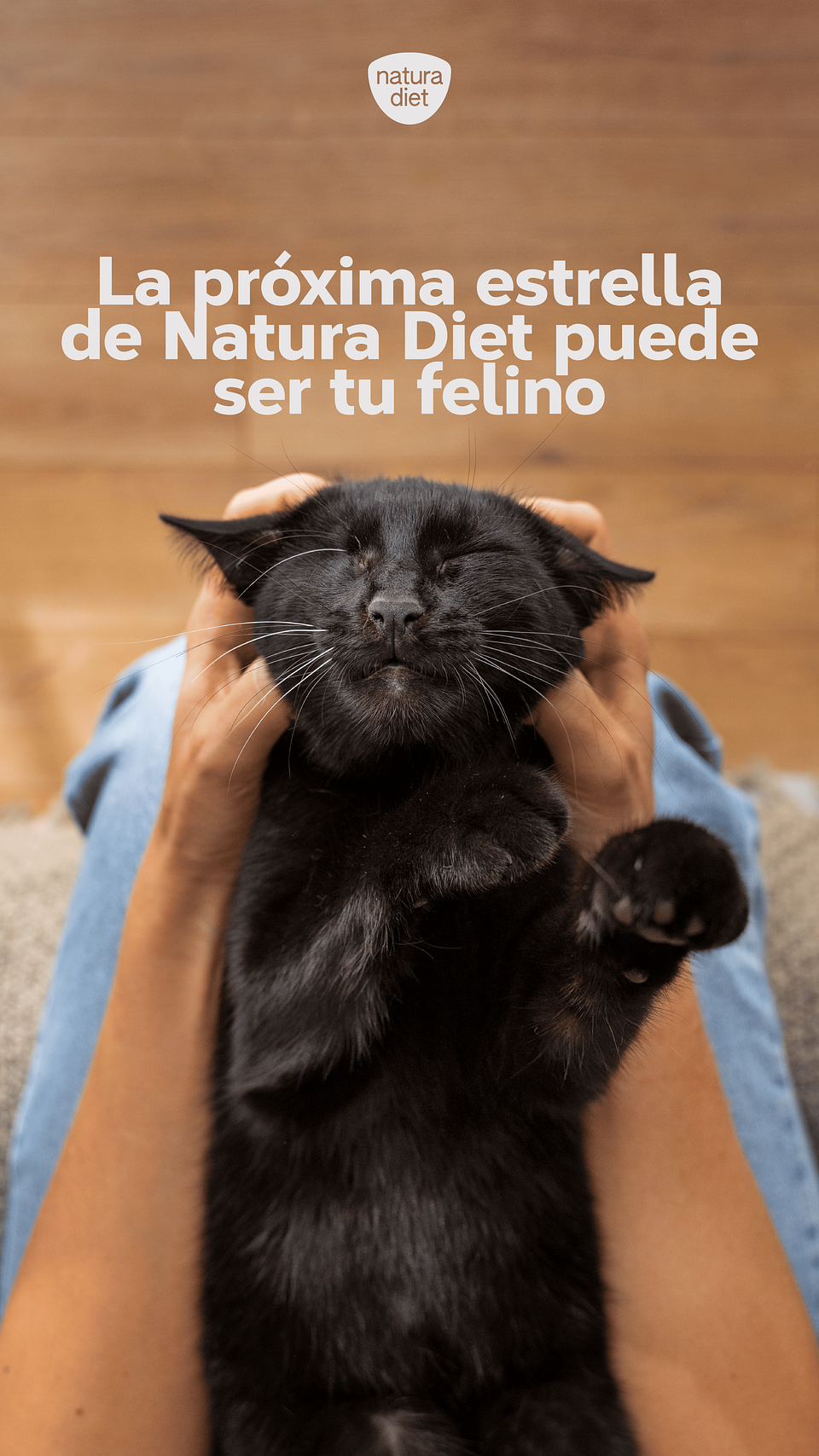 Portada_IG08_08_25 (2).png