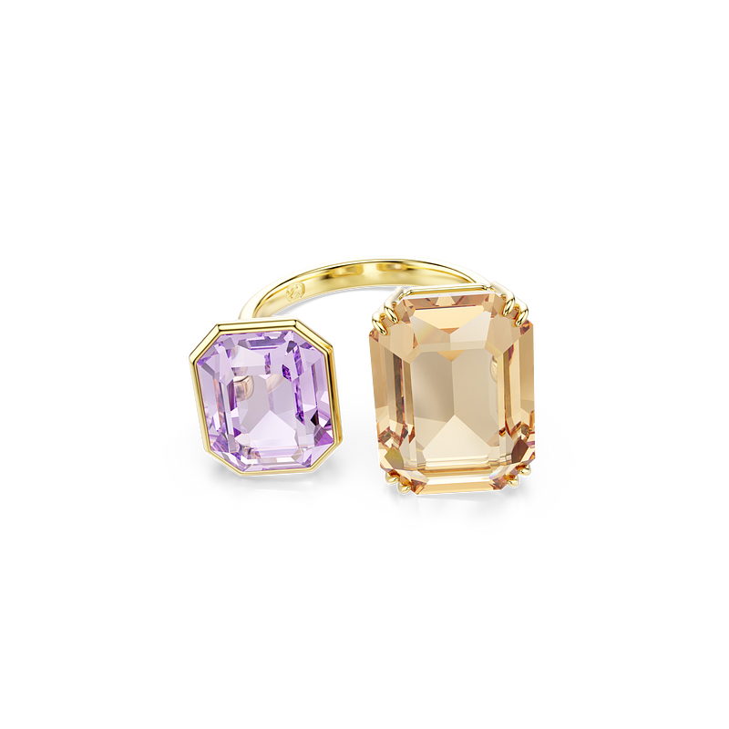 Swarovski_5725749_599 PLN_png.png