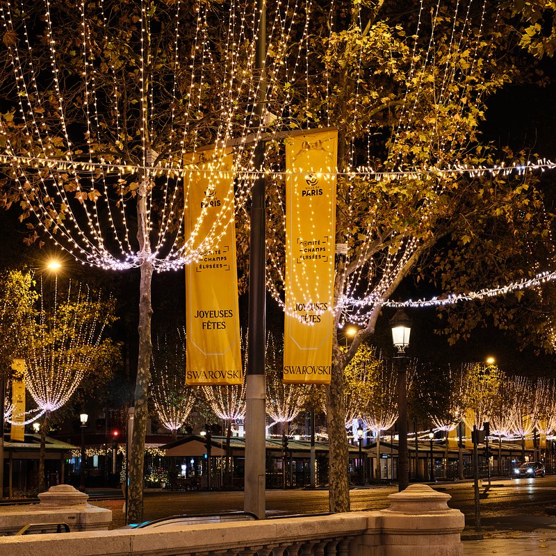 Swarovski_Champs-Elysées_Illuminations (7).jpg