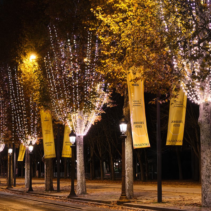 Swarovski_Champs-Elysées_Illuminations (9).jpg
