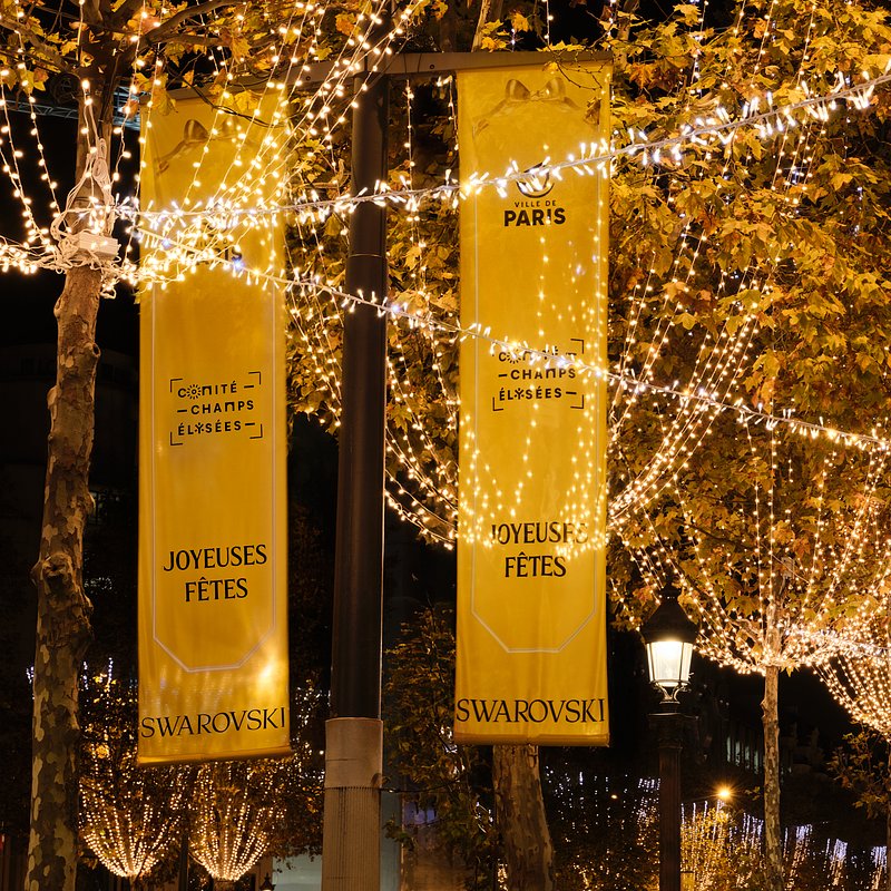Swarovski_Champs-Elysées_Illuminations (8).jpg