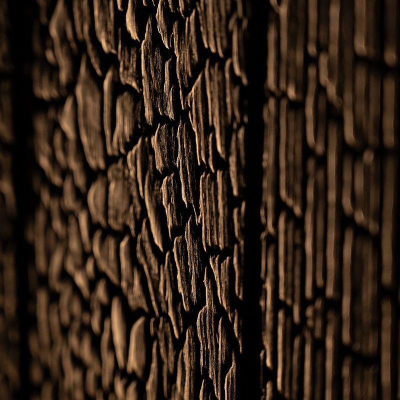 DSC_8012.jpeg