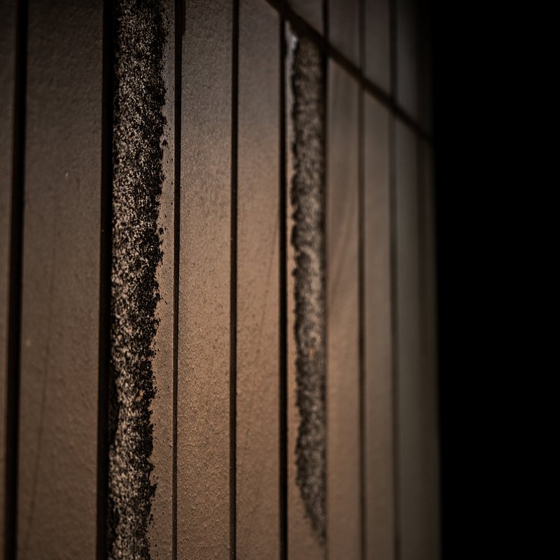 DSC_8048.jpeg
