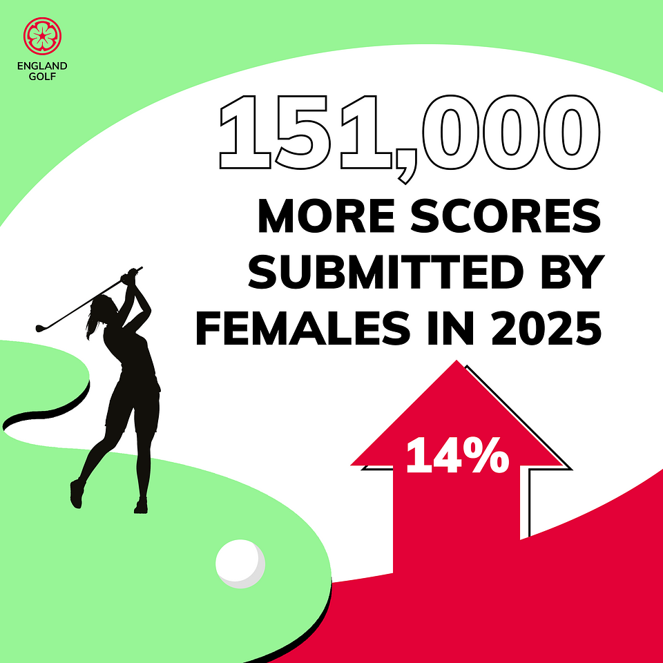 2025 Record-breaking year - graphics for memberssocials_1080x10803.png