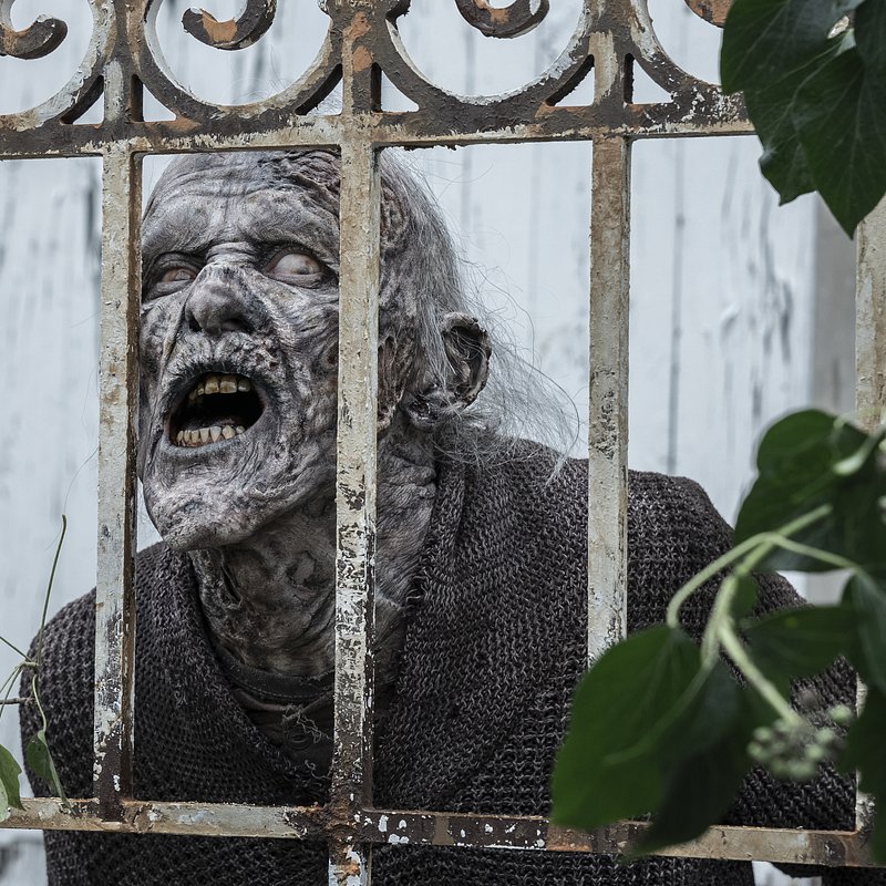 DARYLDIXON_204_SB_1110_0266-RT.jpg