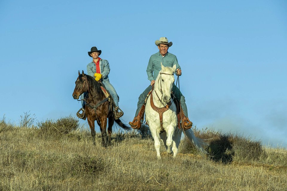 © Dystrybucja Monolith Films