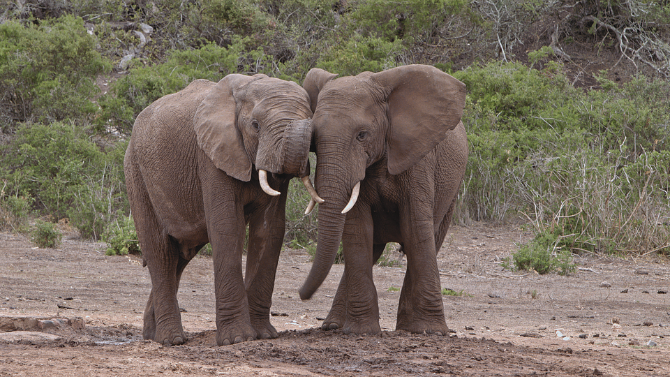 © ARTE France - O2B FILMS 2025 