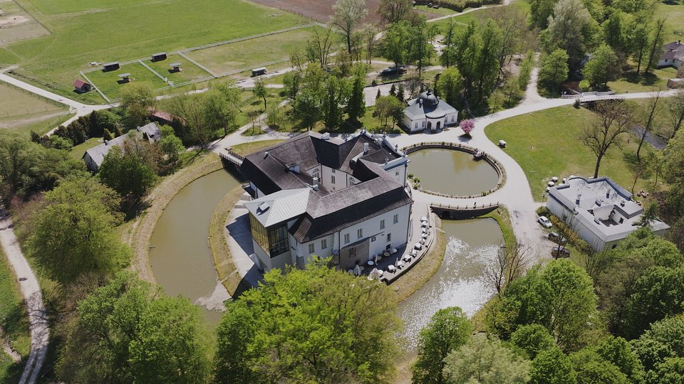 © CANAL+ Polska S.A. 2026