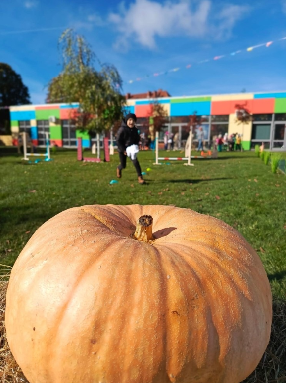 Zrzut ekranu 2025-11-05 10405.png