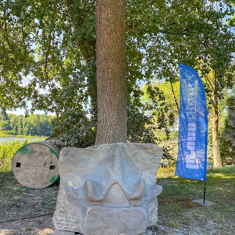 00ff621f-e355-4042-a688-4a74056b63eb.jpeg