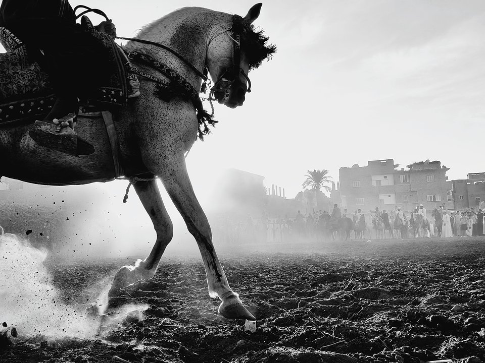 Bronze-Timeless Framing-original.jpg