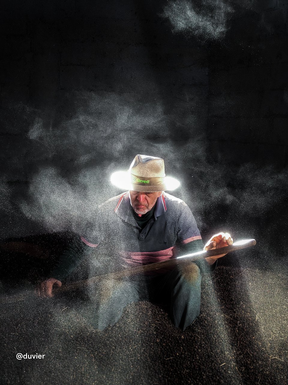 regional award-Colheita. Trabalho em família.jpg