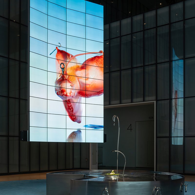 MMCA X LG OLED Series_04.jpg