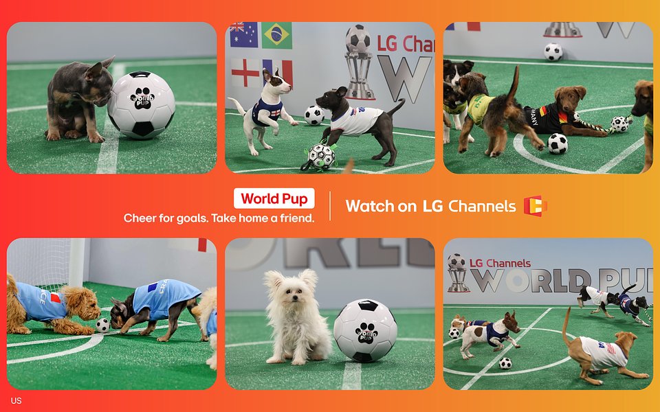 2. lg-channels World Pup US.jpg
