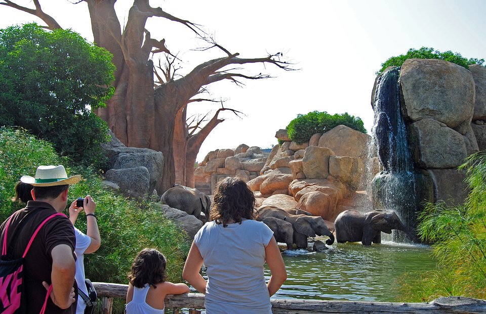 FAMILIA DISFRUTANDO DEL VERANO EN BIOPARC VALENCIA.JPG