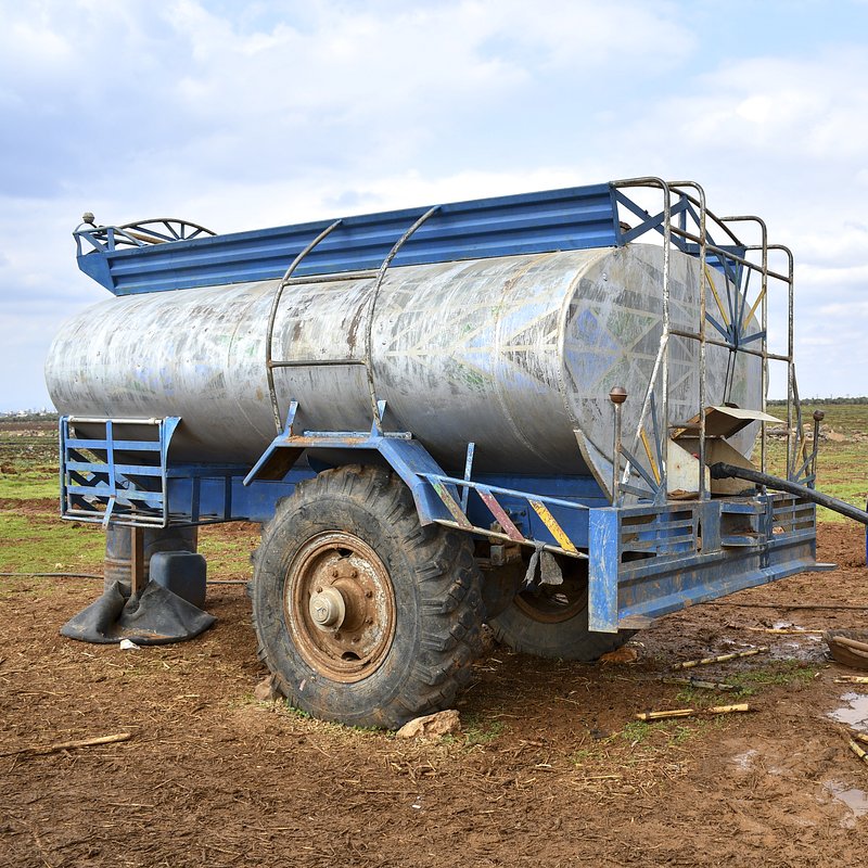 UNI785565.jpg