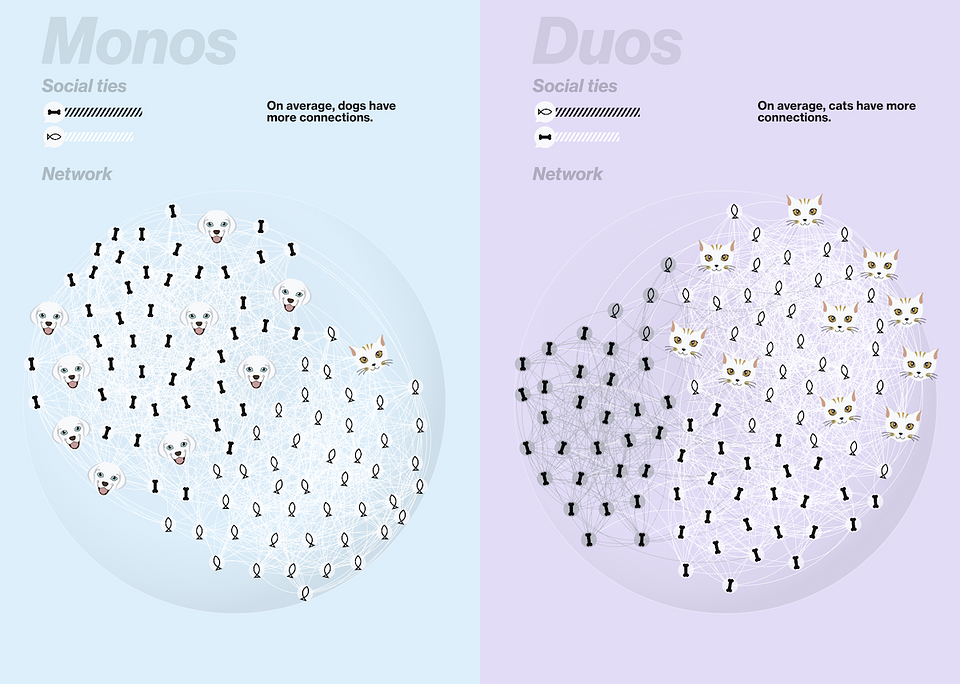 Vis_Intersectional inequalities .png