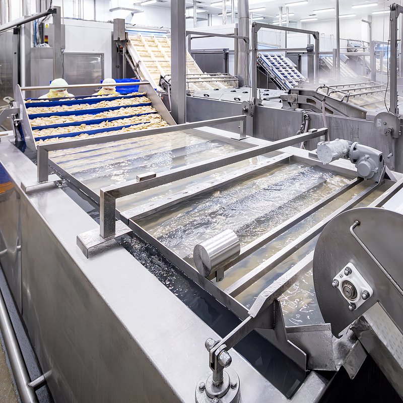 U JEDRUSIA sesja 2023 5558.jpg