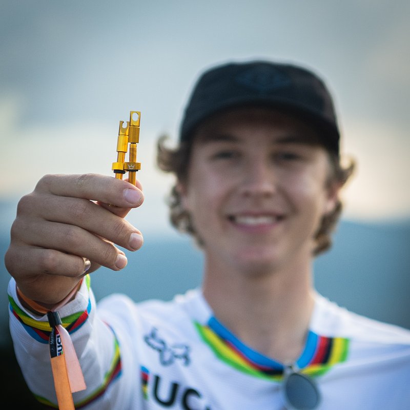 Jackson Gold Valves 02.jpg