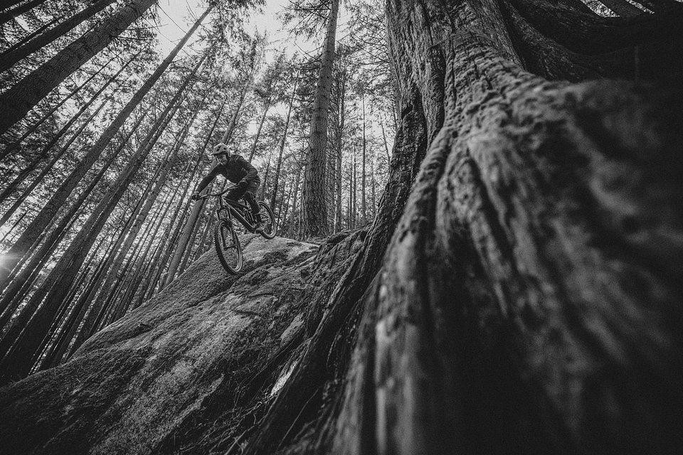 MY26 Sight VLT TQ Lifestyle photo 9578 gs.jpg