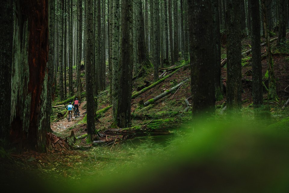 MY26 Sight VLT TQ Lifestyle photo 8199.jpg