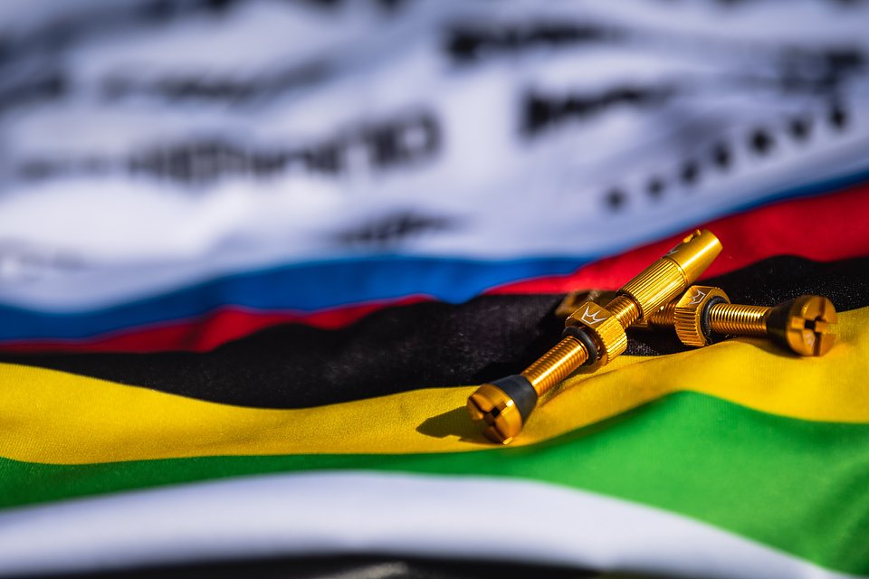 Gold Valves Rainbow Minnaar 04.jpg