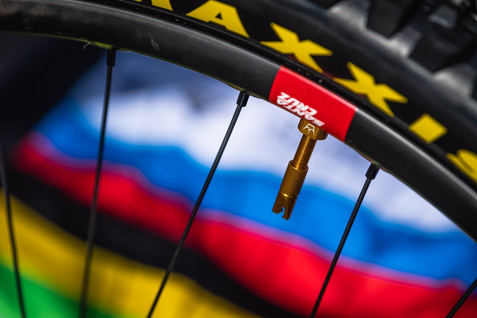 Gold Valves Rainbow Minnaar 09.jpg