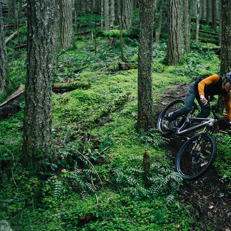 Copy of LIT07995.jpg