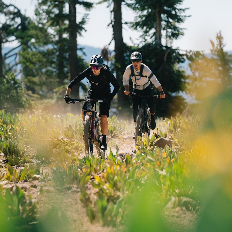 Copy of LIT07964.jpg