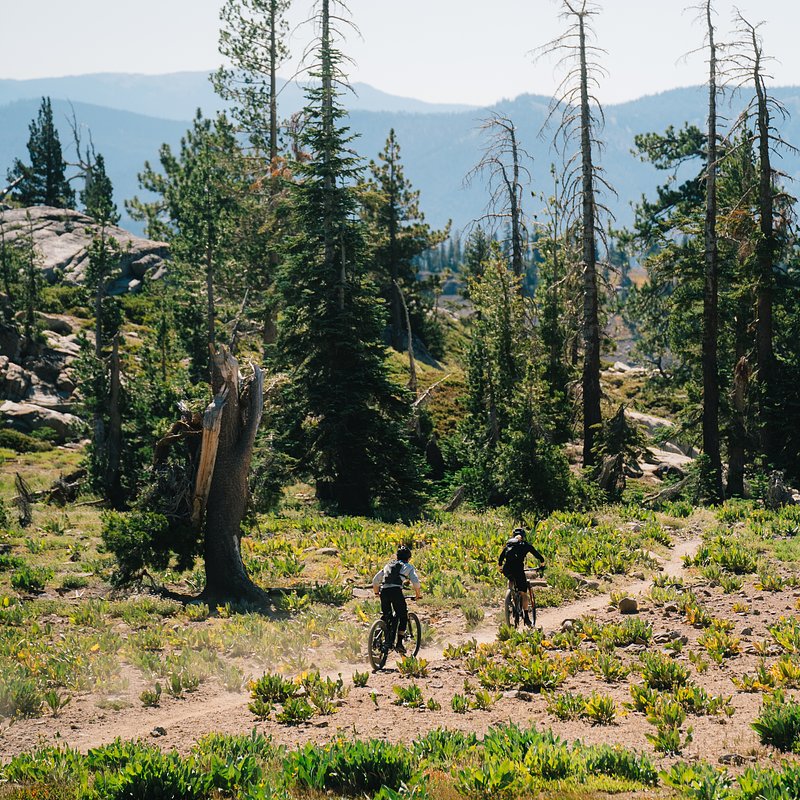 Copy of LIT07874.jpg