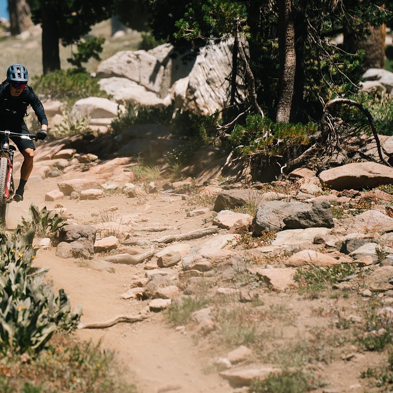 Copy of LIT08277.jpg