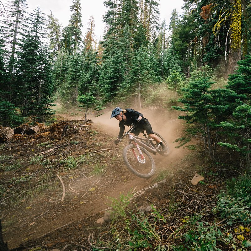 Copy of LIT08435.jpg